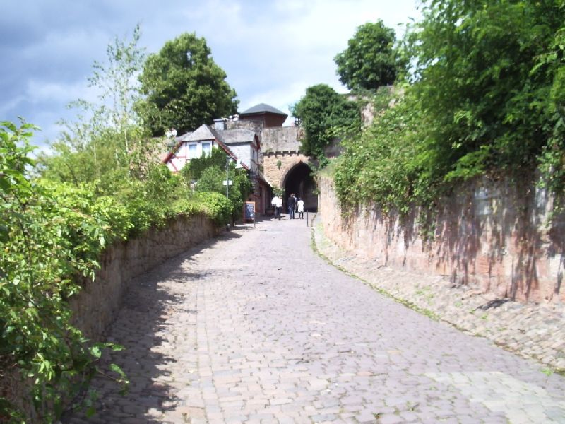 2011- 287.jpg
